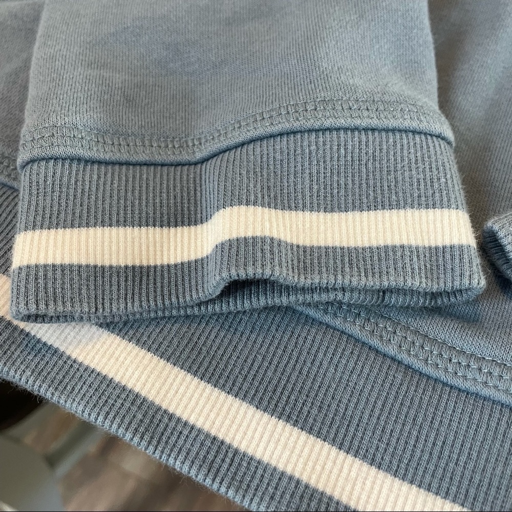 Adidas Active Icons Cropped Slate Blue Hoodie - Picture 9 of 11